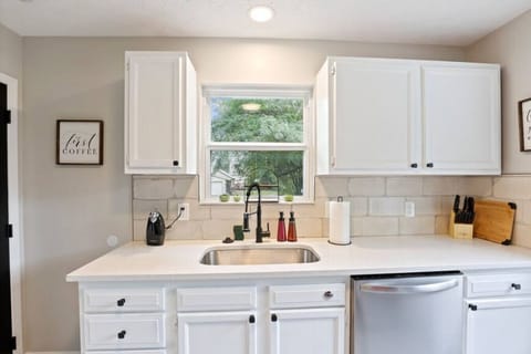 Kitchen sink and dishwasher