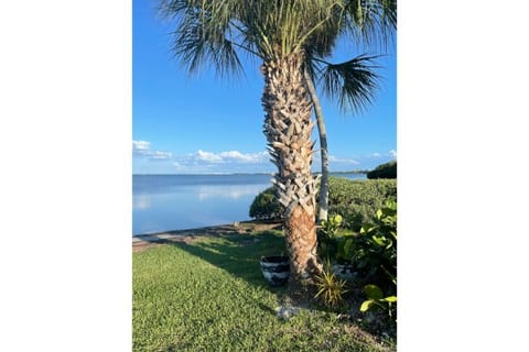 The view right out side your door!