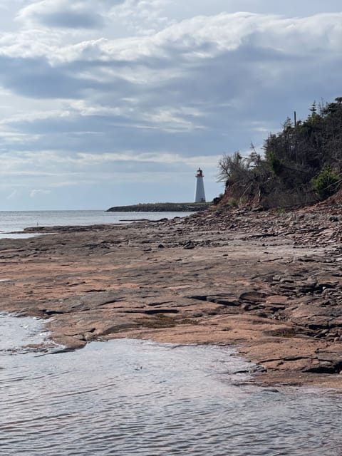 Beachfront Point Prim Cottage - Walk to the Lighthouse during low tide.