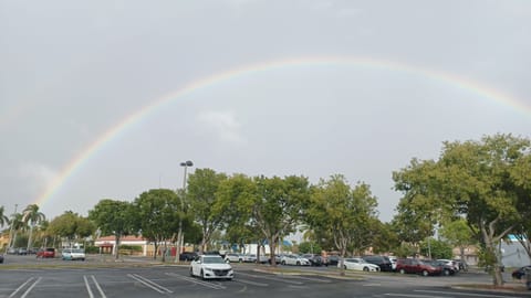 rainbows during rainy season