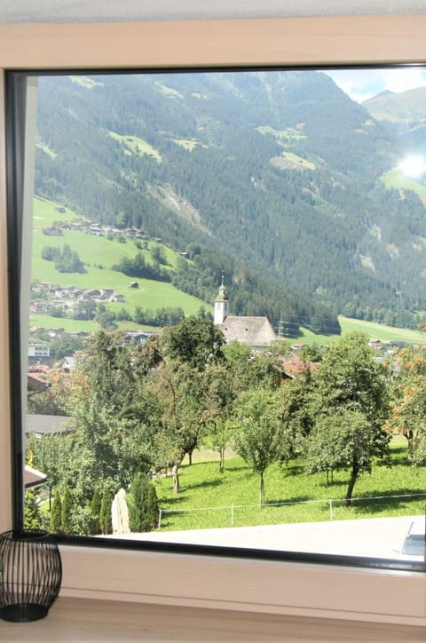 Plant, Property, Ecoregion, Green, Botany, Mountain, Tree, Natural Landscape, Shade, Grass