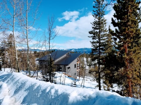 Nordic Luxury in the Rockies: A Scandinavian-Inspired Architectural Masterpiece