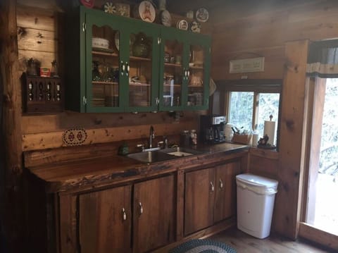 Kitchen sink and cabinets