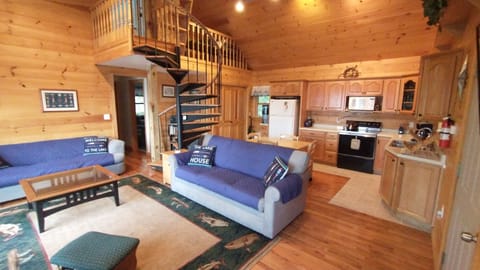 Living room / kitchen