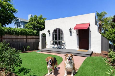 Dog-friendly yard with comfy outdoor seating—perfect for relaxing