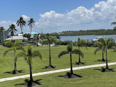 Your View of Gordon River and pool
