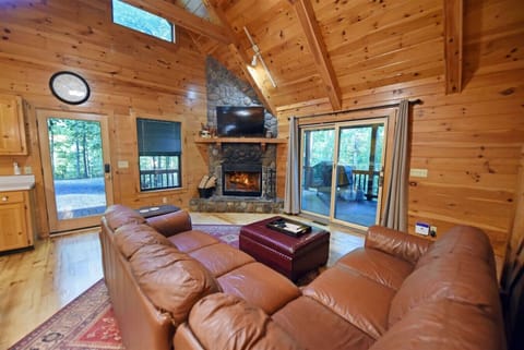 Pet friendly hot tub cabin rental in Blue Ridge GA