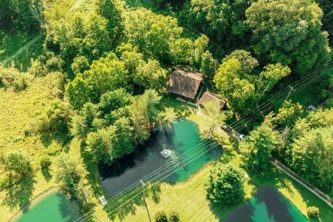 Secluded lodge nestled in lush greenery: a serene nature retreat