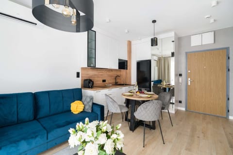 The living area features a sleek coffee table and a flat-screen television.