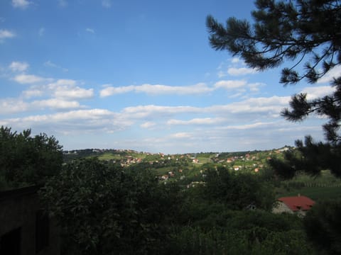 Beautiful Holiday House Wifi, cabTV, centr.heating - 5 min from NS Apartment in Novi Sad