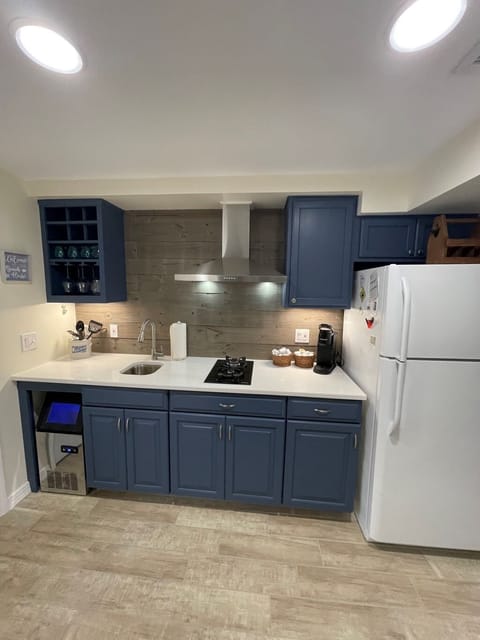 Newly Renovated Galley Kitchen Downstairs with Ice Maker