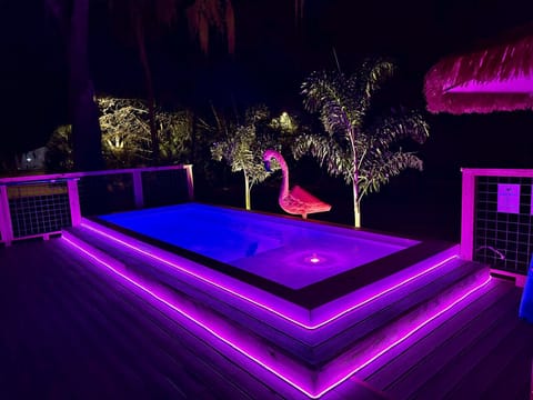 The Flirty Flamingo | Saltwater Pool | Old Homosassa