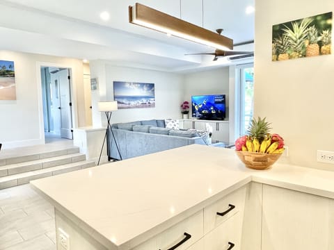 Kitchen bar view