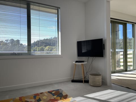 Smart TV, DVD and Bose sound bar