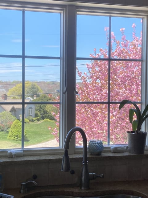 Spring view from kitchen window! Lovely flowering trees, plantings, & hardscape