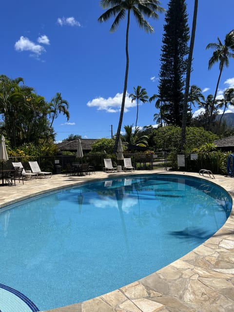 Salt Water Heated Pool