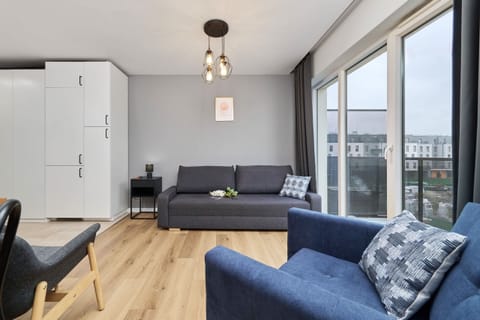 The living area features two sofa beds and a flat-screen television.