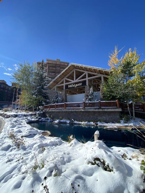 You will find world class amenities & dining.