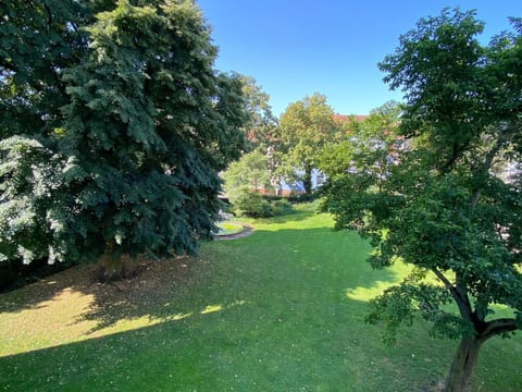 Park in front of Building