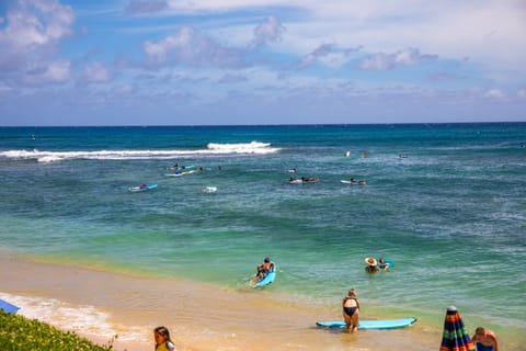Enjoy the fun in the sun or read a book under the palm trees