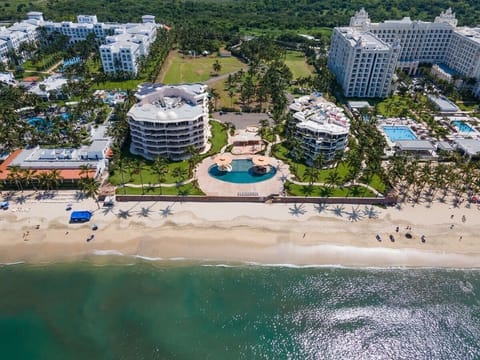 Bird's-eye view