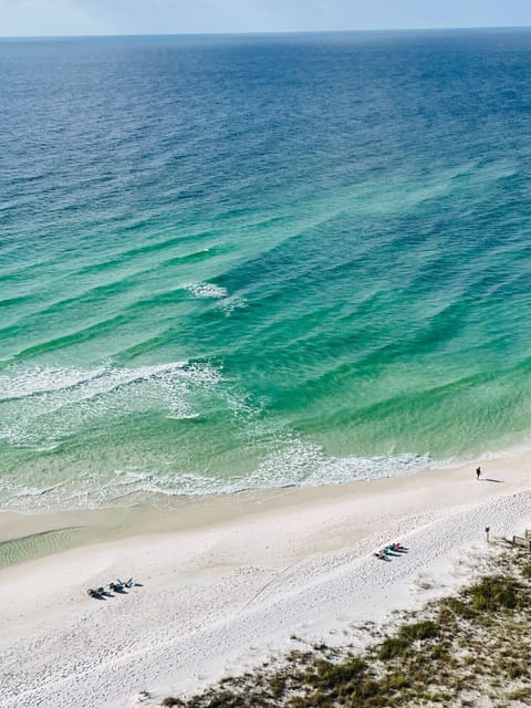 The Gulf of Mexico Views
