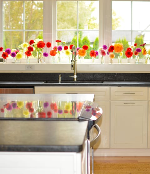 Induction stove and oven on granite-topped island - cook while you mingle!