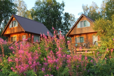 Beautiful riverfront cabins!