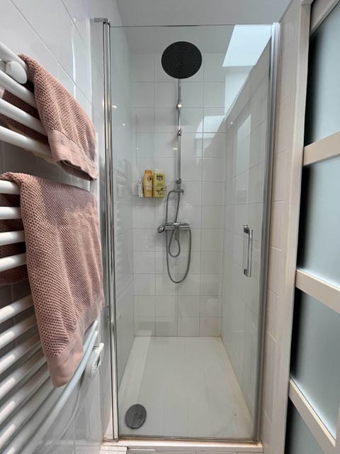 shower with heated towel rack, sliding door for privacy.