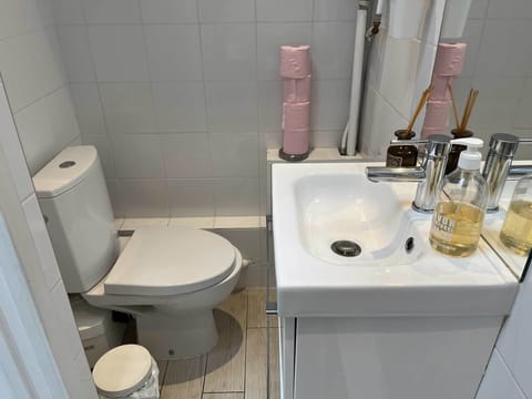 toilet and wash basin