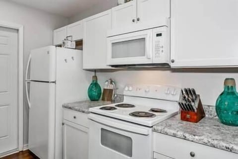 Stove, Microwave & Refrigerator in Kitchen