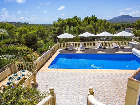 Water, Plant, Sky, Property, Cloud, Swimming Pool, Azure, Tree, Shade, Outdoor Furniture