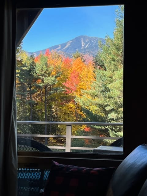 The scenery from inside the chalet snuggled next to the fireplace. 
