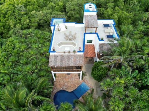 Stunning home in the jungle