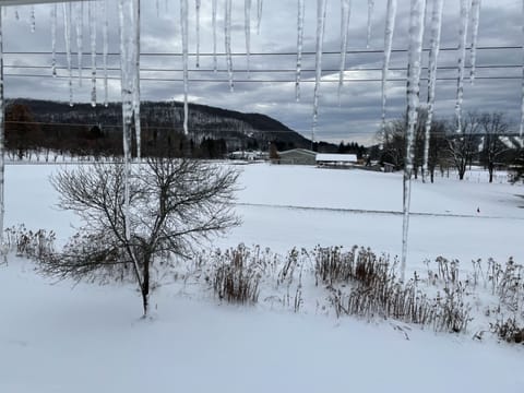 View from the master bedroom.