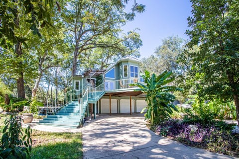 Tropical jungle vibes