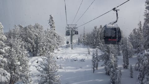 Snow and ski sports