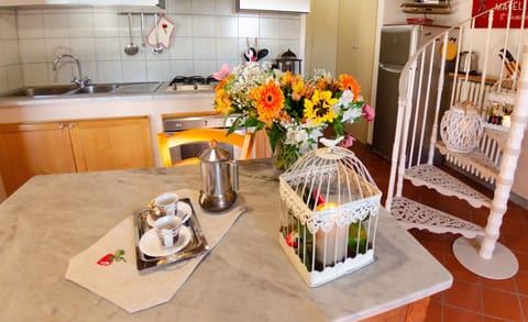 Flower, Kitchen Sink, Property, Sink, Table, Cabinetry, Plant, Countertop, Tap, Orange