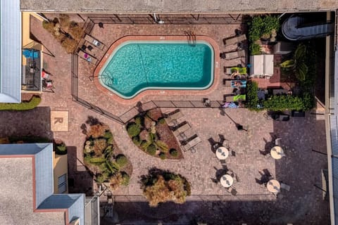 Aerial view of the shared pool surrounded by loungers and landscaped paths.
