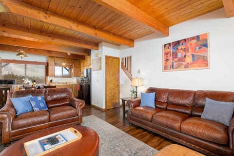 Downstairs Living Room