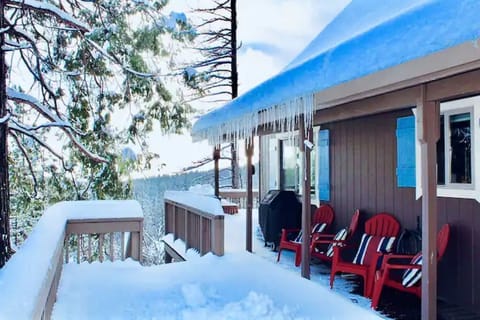 LOTS of snow at over 4000 ft. elevation makes for beautiful scenery and snow fun