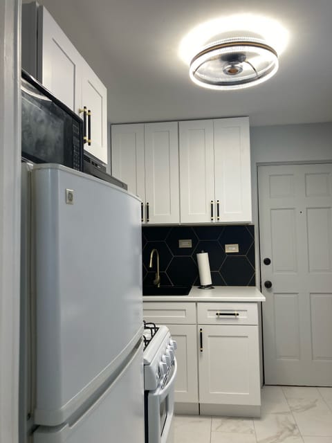 Kitchen ceiling fan light 