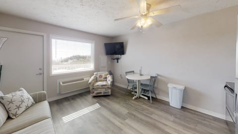 Living area with queen sleeper sofa for the kids 