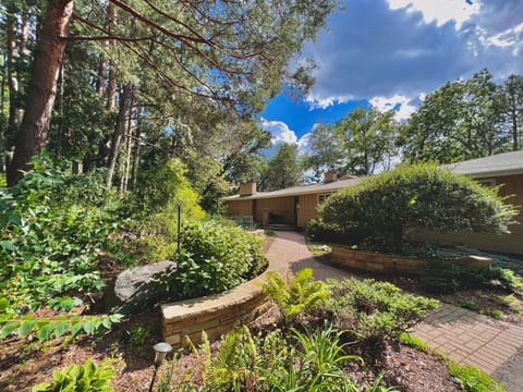 Garden and the path to the entrance (upper level)