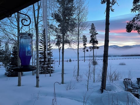 Winter at Stagecoach Sanctuary