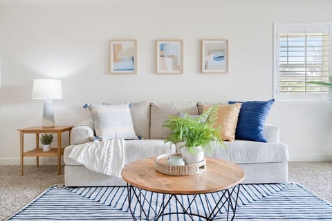 Living Room Sofa