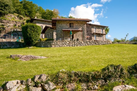 Main view