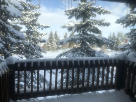 Winter wonderland
