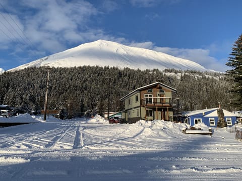 Beautiful in winter too