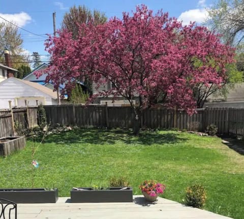 Spacious backyard to enjoy